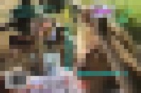 SBV079 Samendurst 1