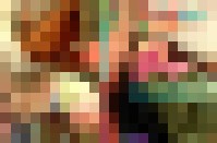 VHS108 Samengully