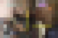 SBV112 Schw..zhaelse 1