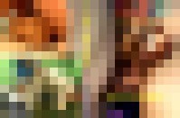 VHS121 Hau ihn rein 1