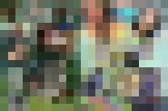 VKA129 Schw..zwild 2