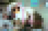 SBV148 Sauberars.. 1