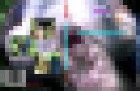 SBV175 Feuchtwaldfot.. 1
