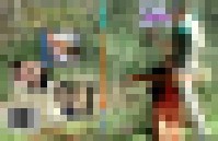 SBV183 Bla.madam 1