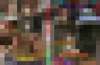 STS618 Sonjas Fresserziehung 1