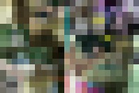VLL663 Nasses Waldloch 1