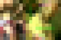 JIV900 Safthaelse 1