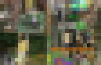PTV906 Waldarbeit 1