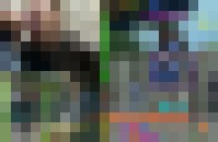 JIV976 Alte Samenfresse 2